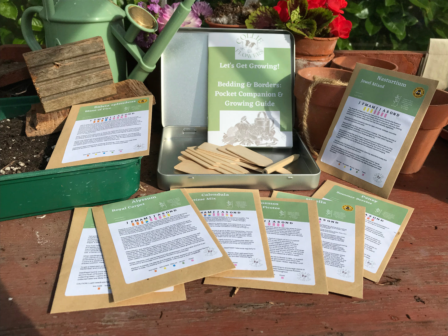 Bedding & Borders: Seed Tin