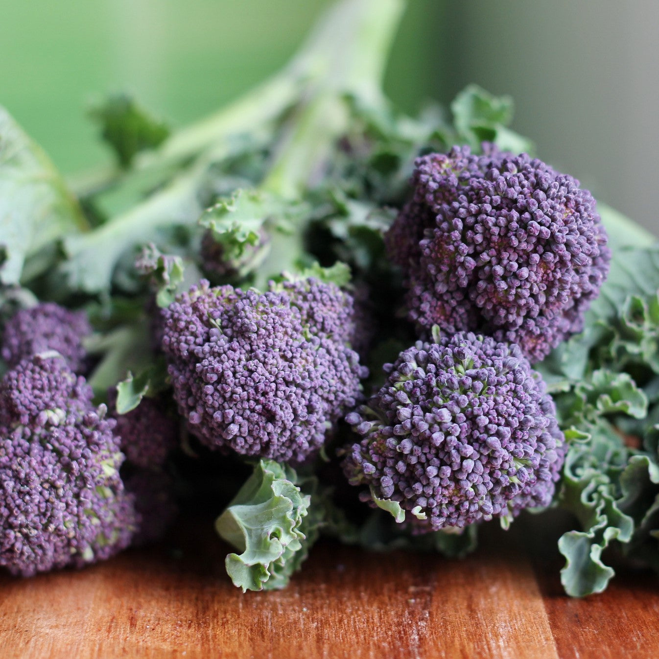 Broccoli, Summer Purple Sprouting