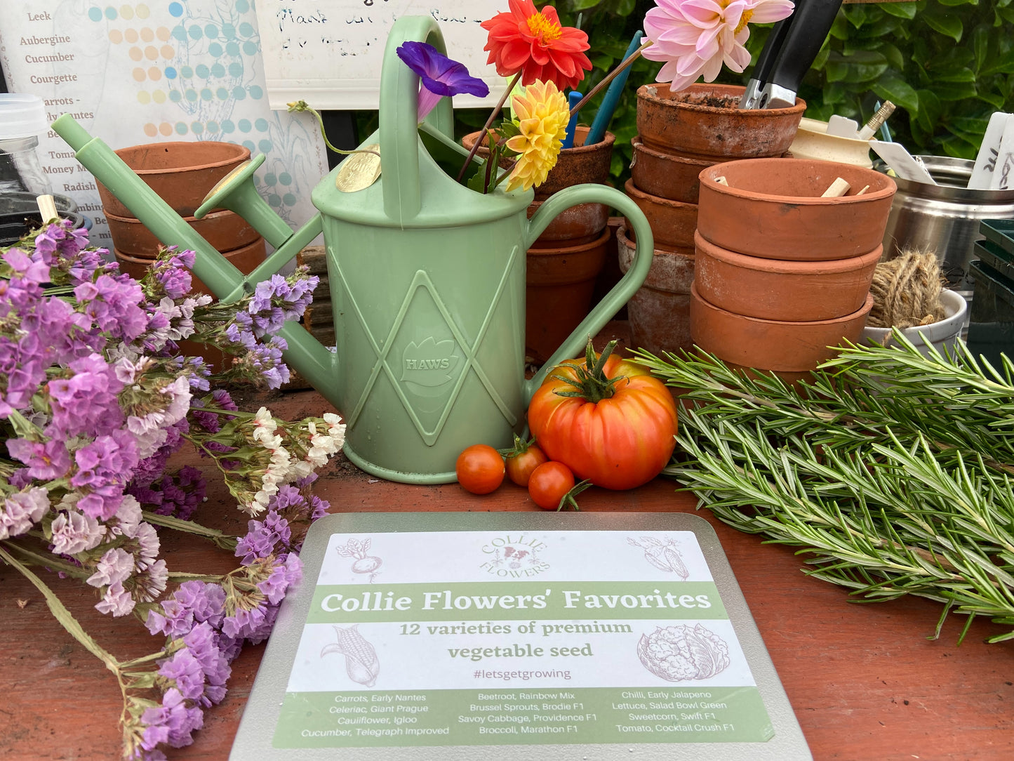 Collie Flowers Favourites: Seed Tin
