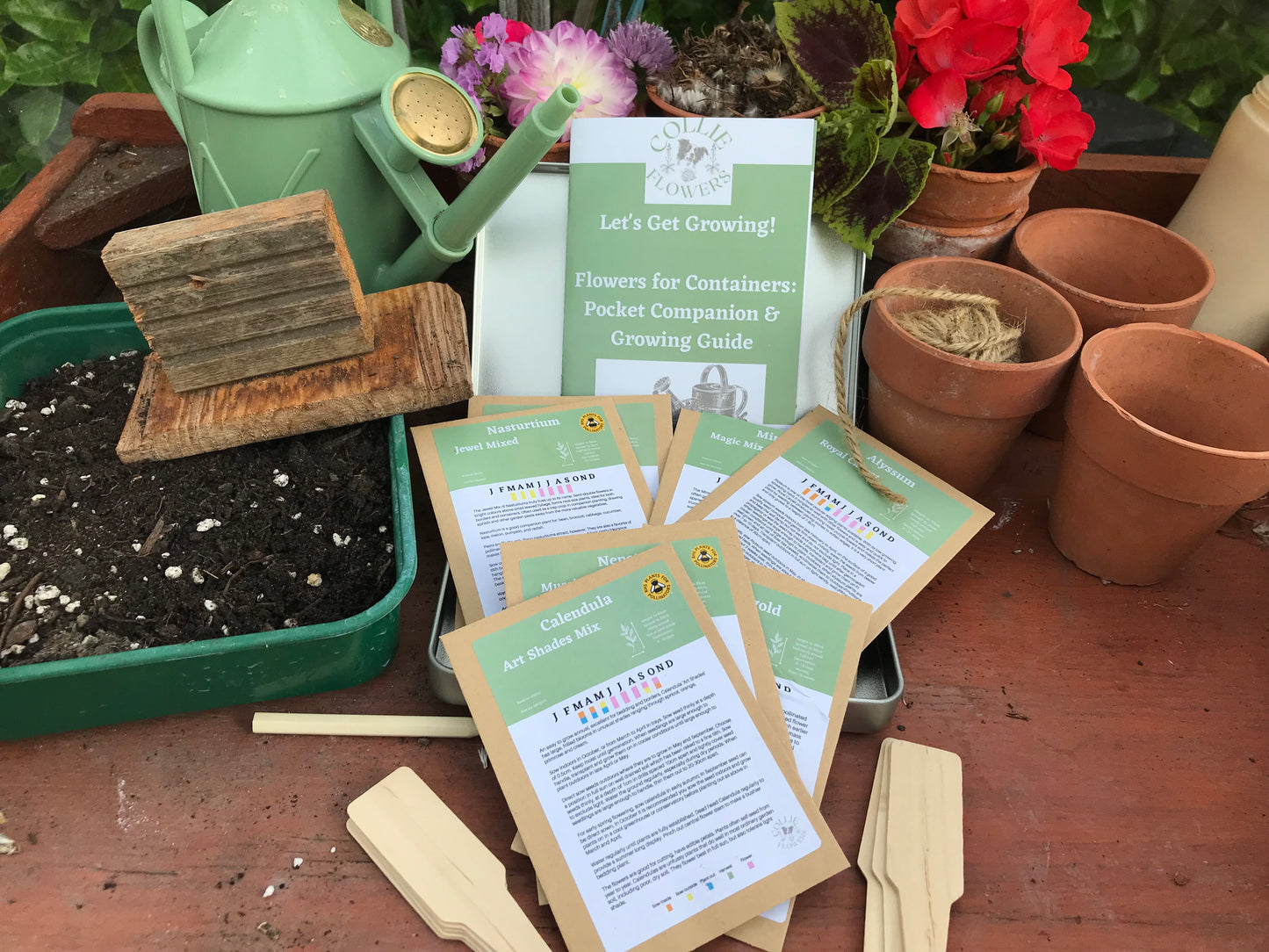 Flowers for Containers: Seed Tin