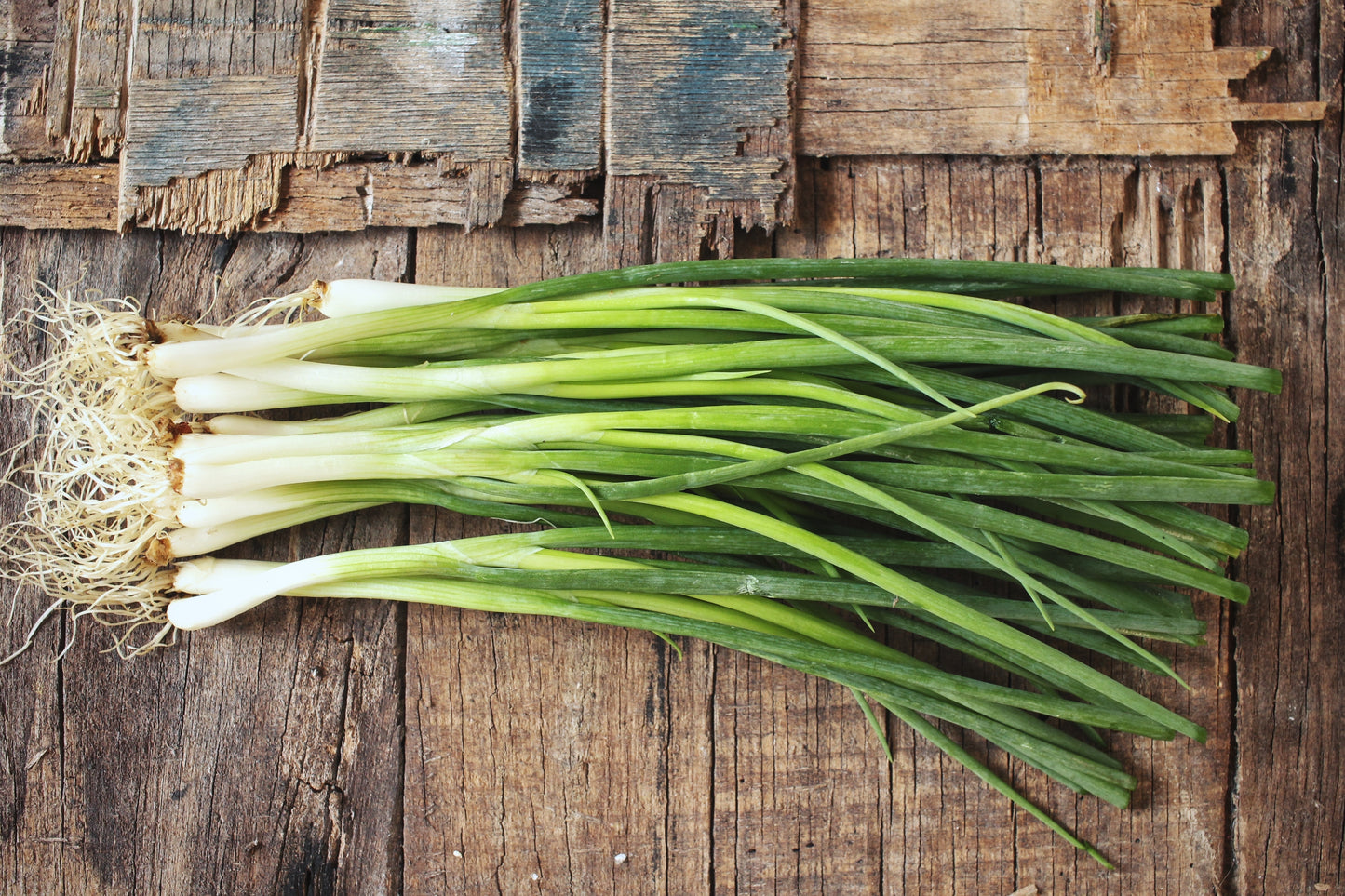 Spring Onion, Salad Eiffel
