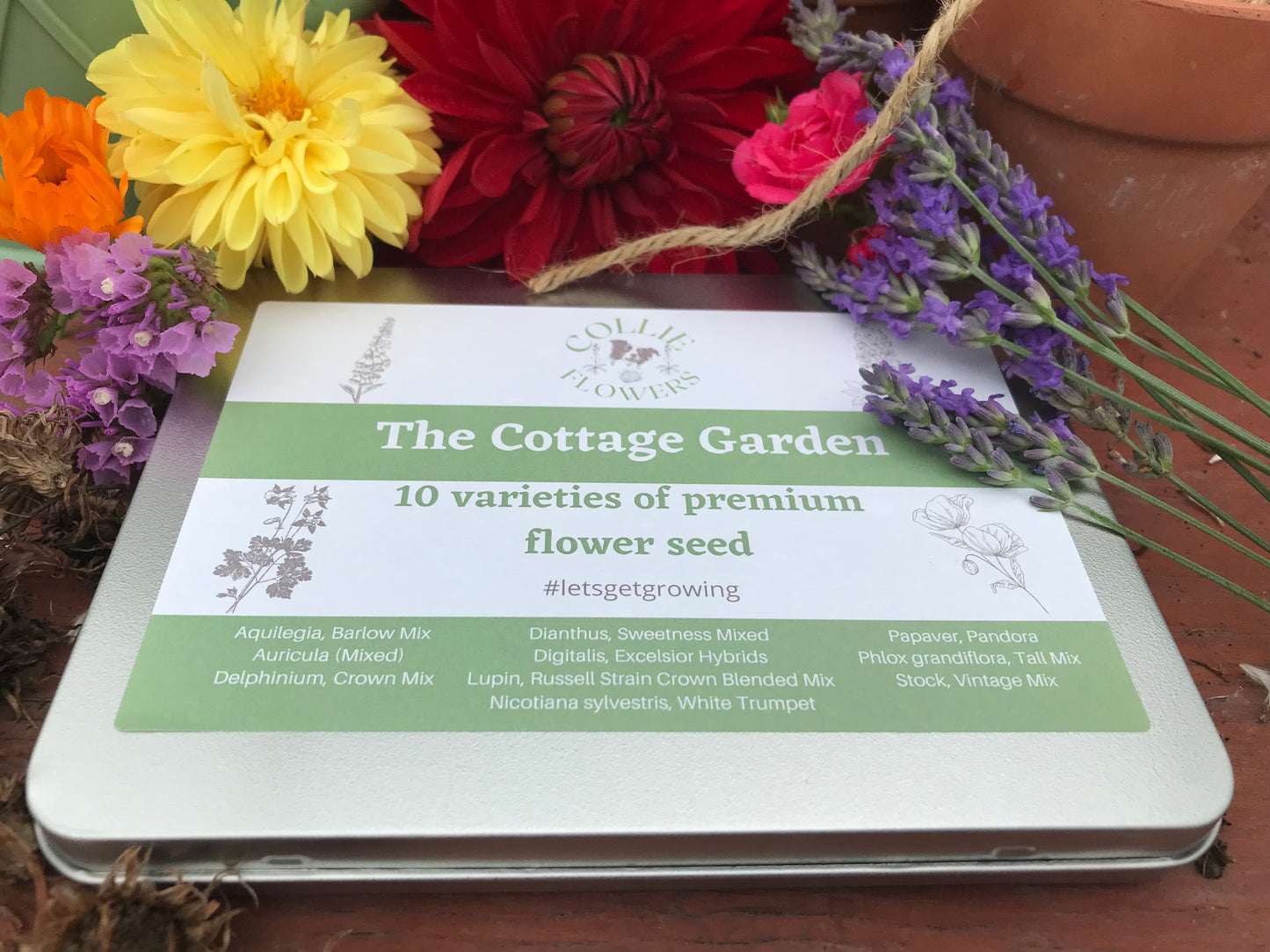 The Cottage Garden: Seed Tin
