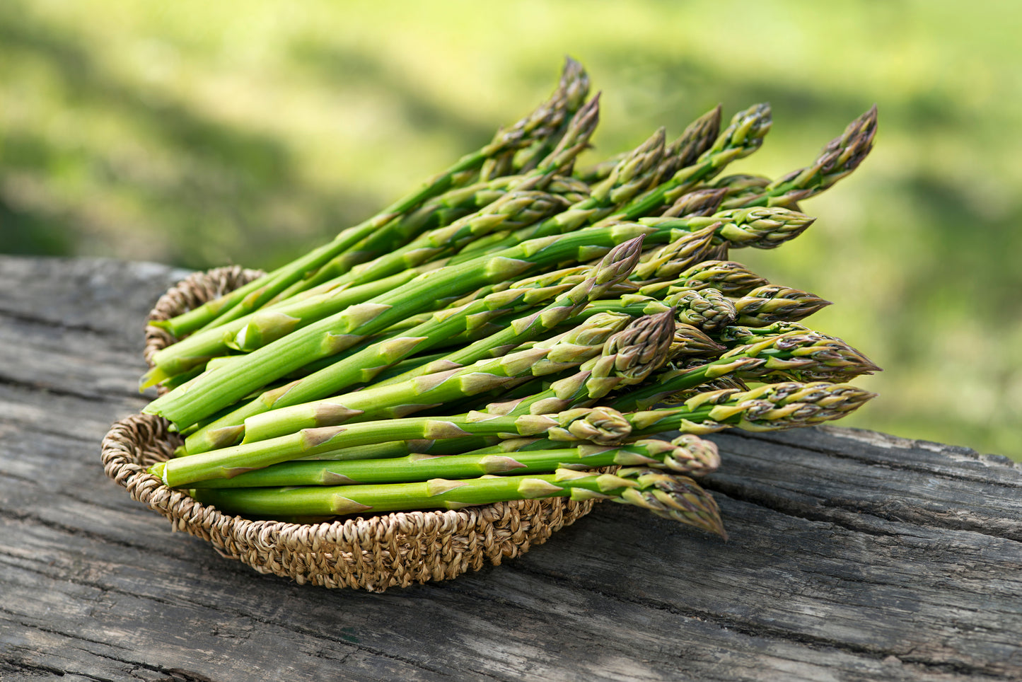 Asparagus, Ariane F1