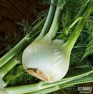Fennel, Romanesco