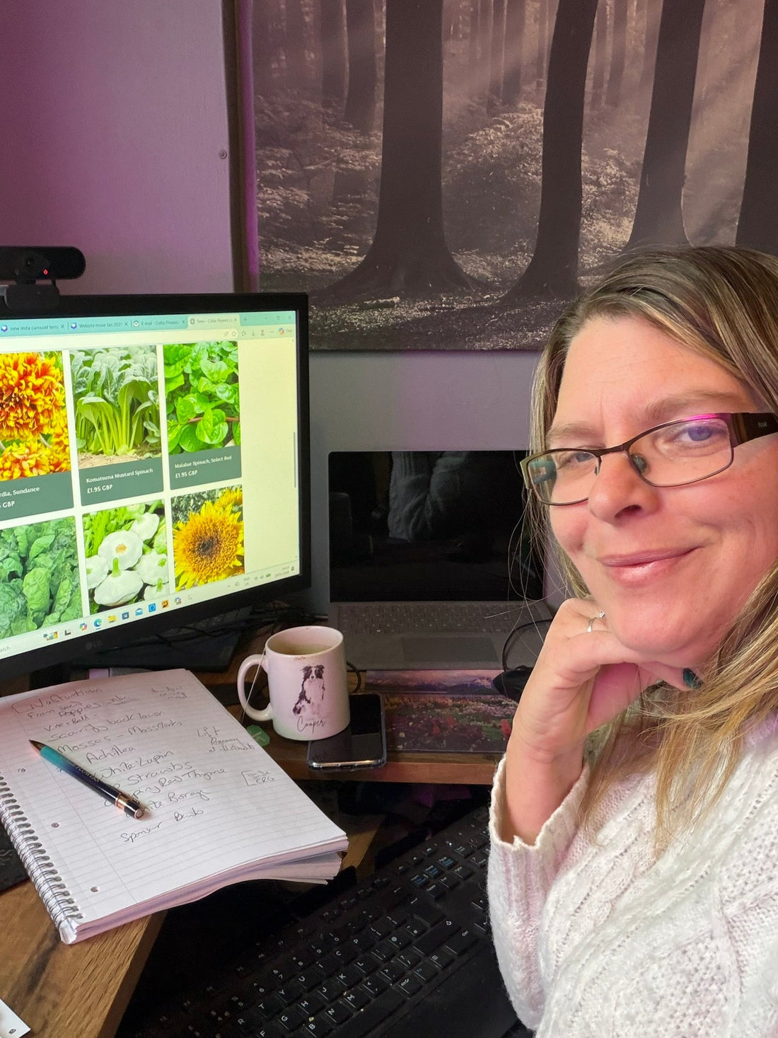 We’ve Moved! The Story Behind the New Collie Flowers Website