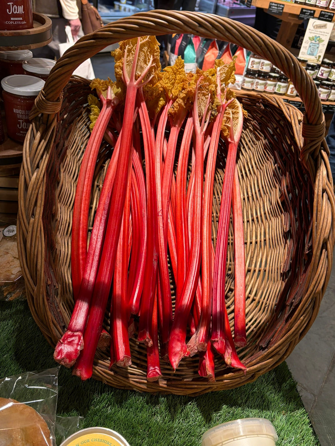 a basket of rhubarb