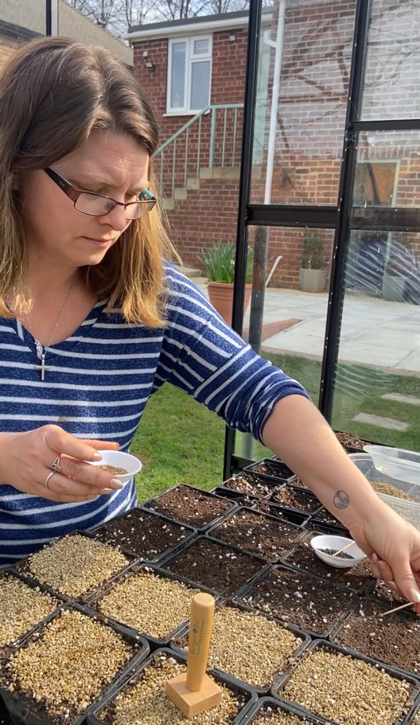 Can I sow seeds now?