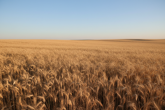 Why We Need to Question the Facts