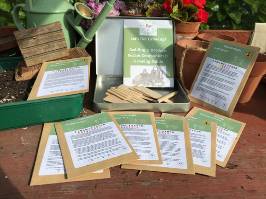 Bedding & Borders: Seed Tin