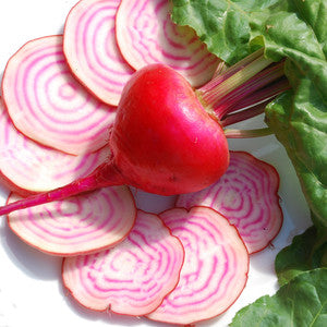 Beetroot, Barbabietola di Chioggia