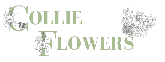 Collie Flowers Ltd