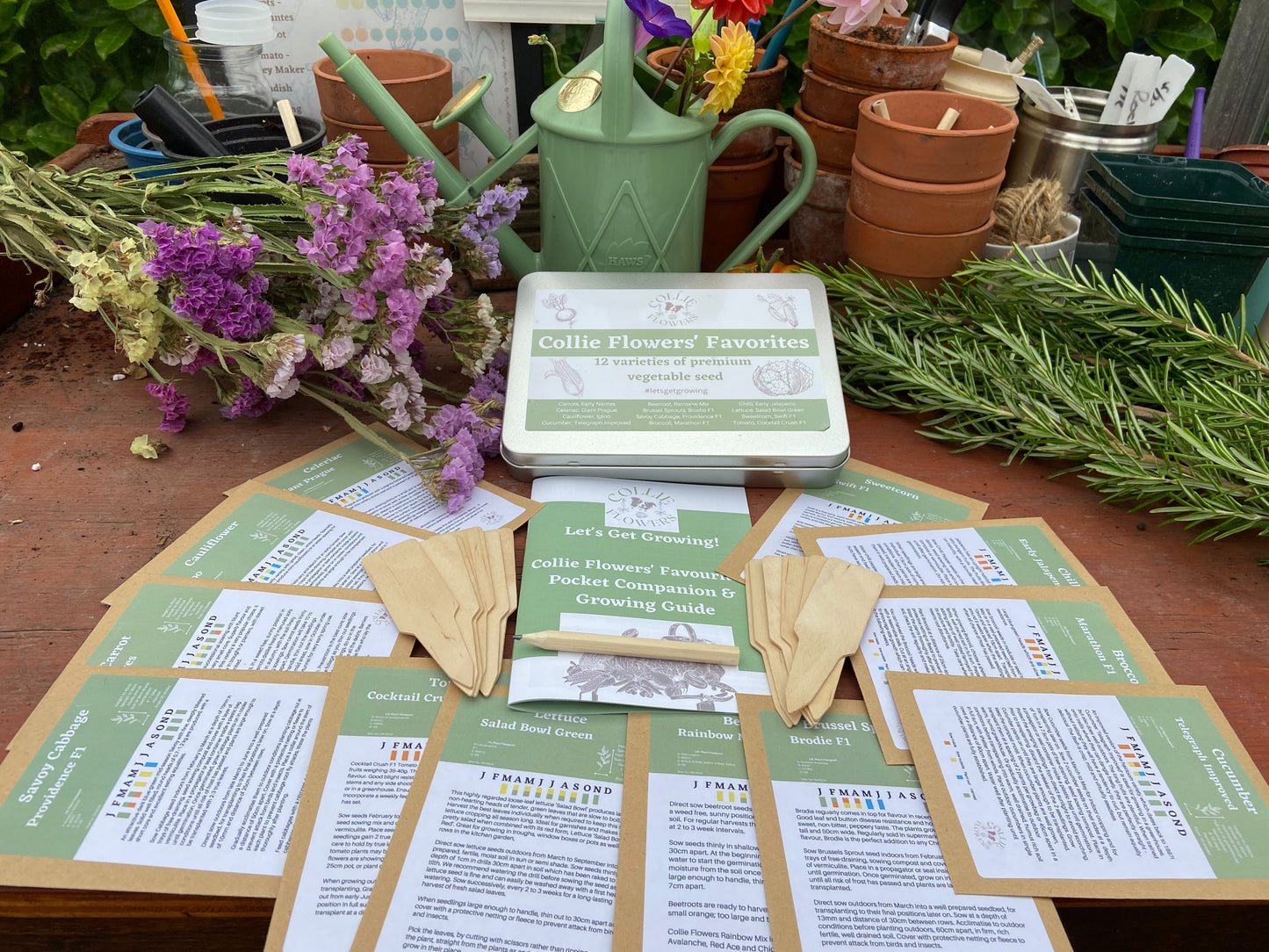 Collie Flowers Favourites: Seed Tin