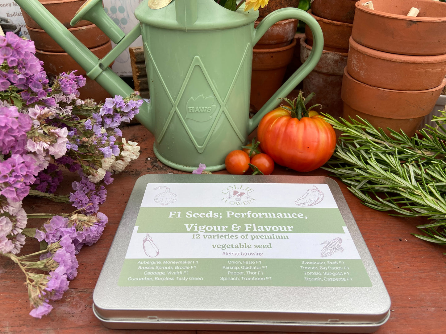 F1 Hybrids - Performance & Vigour: Seed Tin