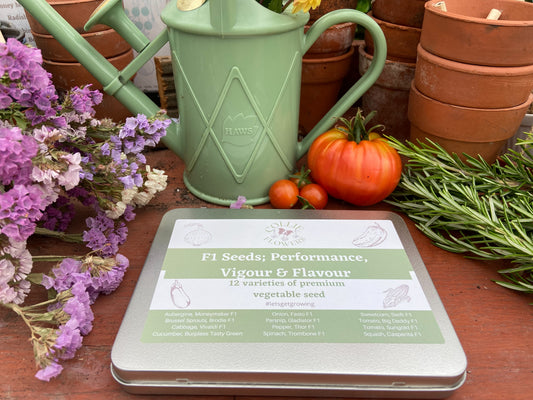 F1 Hybrids - Performance & Vigour: Seed Tin
