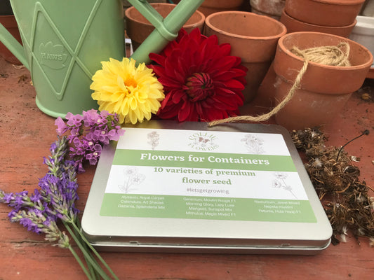 Flowers for Containers: Seed Tin