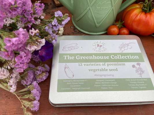 The Greenhouse Collection: Seed Tin