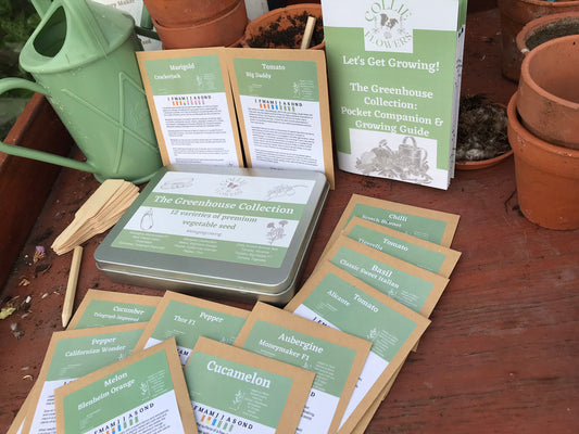 The Greenhouse Collection: Seed Tin