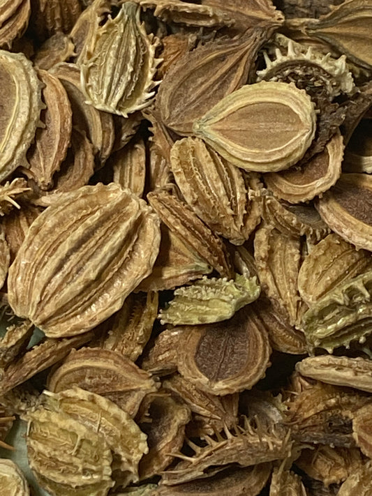 10 Pack Mystery Seed Selection