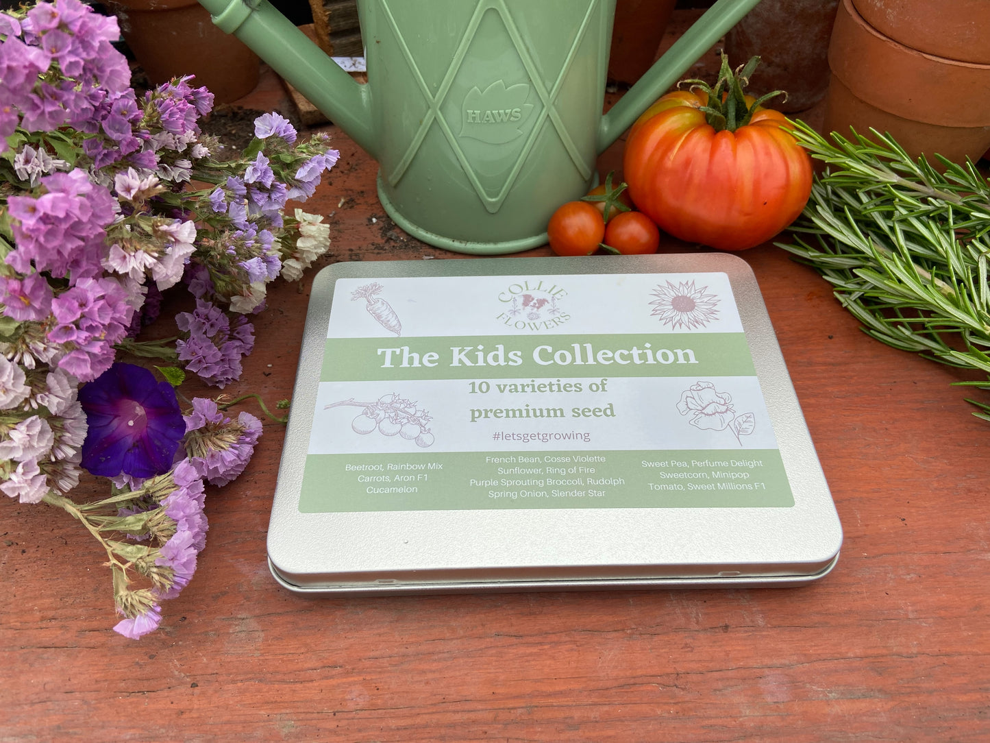 The Kids Collection: Seed Tin