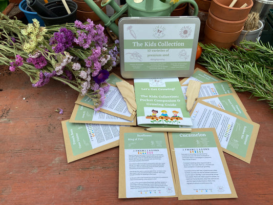 The Kids Collection: Seed Tin