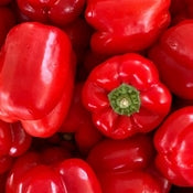 Pepper, Californian Wonder