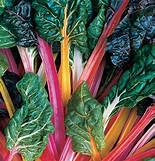 Swiss Chard, Rainbow Mix