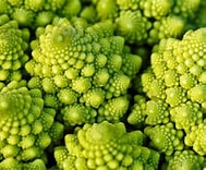 Cauliflower, Romanesco Precole
