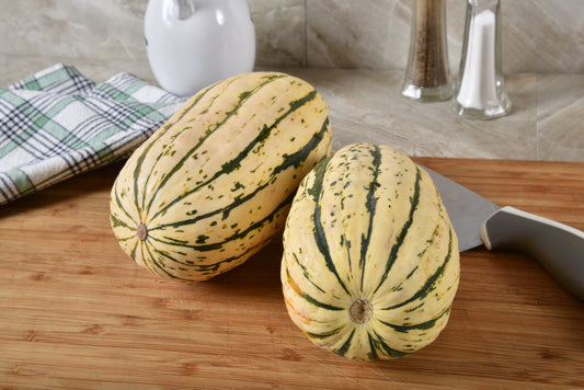 Squash, Cornells Bush Delicata