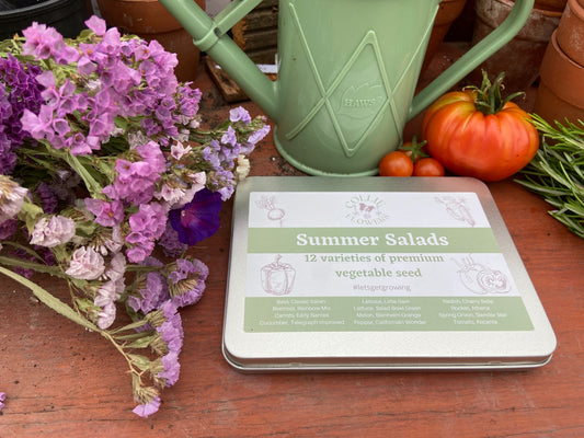 Summer Salads: Seed Tin