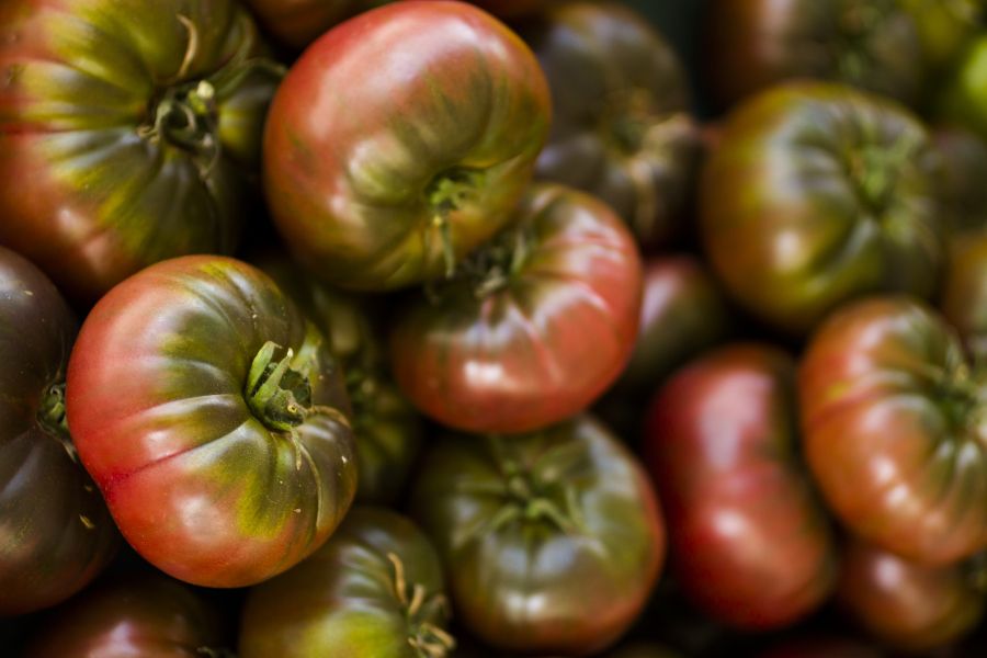 Tomato, Cherokee
