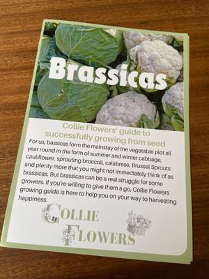 Brassicas